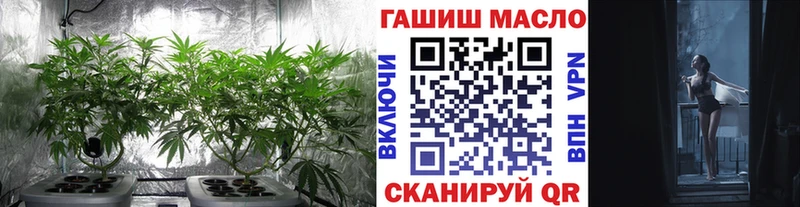 ТГК гашишное масло  Купить закладки  Ветлуга 
