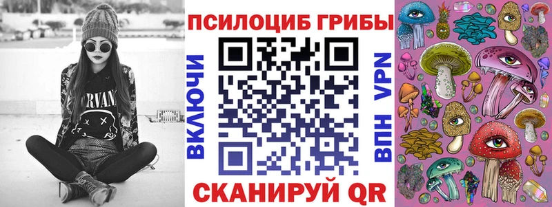 Купить Ветлуга Псилоцибиновые грибы мухоморы